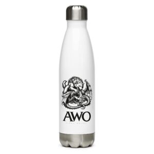 Stainless steel water bottle