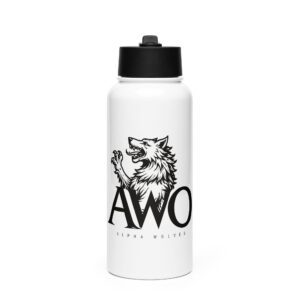 Stainless steel water bottle with a straw lid
